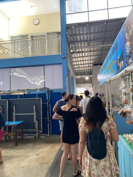 NBH Summer Camp 2026, Bali