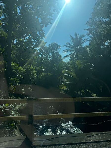 NBH Summer Camp 2026, Bali