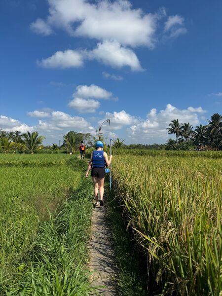NBH Summer Camp 2026, Bali