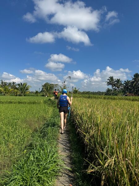 NBH Summer Camp 2026, Bali