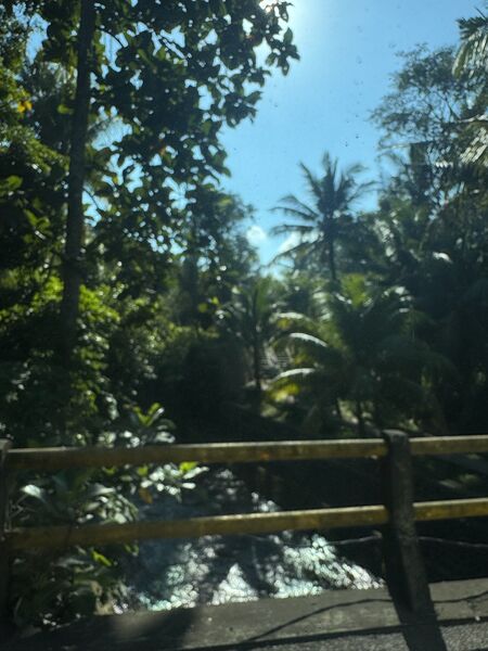 NBH Summer Camp 2026, Bali